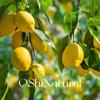 EgitoDmitry Óleo Essencial Orgânico de Folha de Limão Planta Europeia Natural Fragrância Natural Importada Óleo Essencial para Cuidados com a Pele Matérias-Primas
