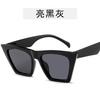 Óculos de Sol Estilo Coreano Novos Europeus e Americanos Moda Óculos de Sol Personalizados Óculos de Moda para Homens e Mulheres Óculos Retrô de Rua Fotográficos