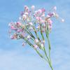 Rama Única Color Primavera Multicolor Gipsofila Flor Artificial Flor de Plástico Flor Falsa Decoración del Hogar Decoración Accesorios para Fotografía de Bodas Flor