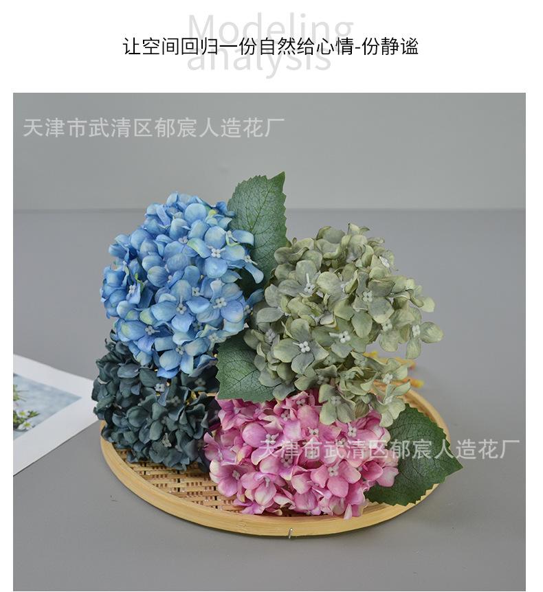 详情_08.png