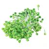 Núcleo de flor de vidrio de 5 mm Corazón de flor de yeso Flor DIY Flor artificial Tocado Accesorios para el cabello Materiales florales Accesorios de joyería Venta al por mayor