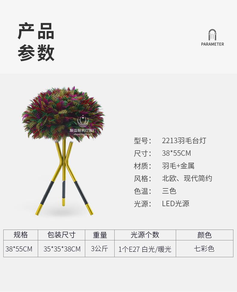 描述图_11.jpg