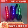 Amazon transfronterizo nuevo collar luminoso color mágico ticker LED recargable anillo para perro cordón luminoso juego de cordón