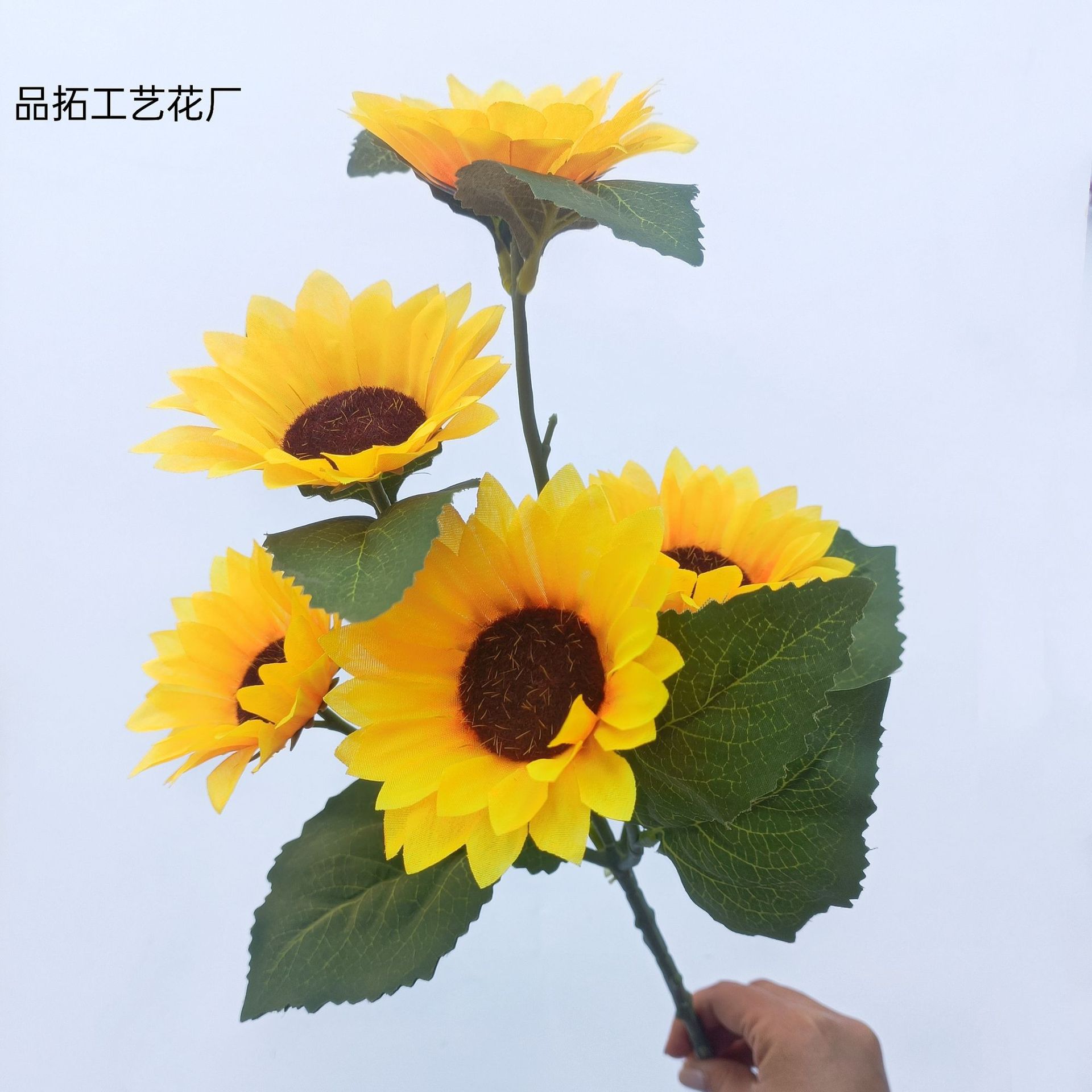 db7ae6e6751f7b1e7d13f750357825