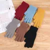 Guantes cálidos de invierno al por mayor para montar al aire libre Joker guantes de hilo de terciopelo más guantes gruesos para el frío accesorios