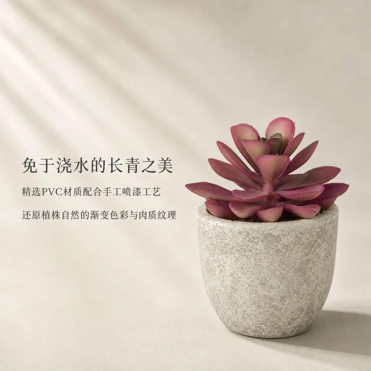 1302多肉详情页 (2).jpg