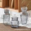 Estilo Ins Mini Vaso de Vidro Pequeno Hidropônico Planta Verde Decorativo Mesa Transparente Arranjo de Flores Ornamentos