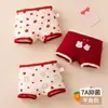 Ropa Interior para Niños, Calzoncillos tipo bóxer de Algodón Puro para Niñas de Edad Media y Mayores, de 3 a 12 Años, Calzoncillos tipo bóxer para Niñas sin Trasero