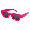 Óculos de Sol Fashion Estilo Millennial Armação Pequena Transfronteiriços Novos Simples Versáteis para Homens e Mulheres 131 Rt027