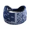 Faixa de Cabelo Colorida Retrô Europeia e Americana Castanha Padrão Paisley Edição Larga Headband Esportes Yoga Headwear Elástico Mulheres