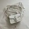 Bolso de Mano de Moda Versátil Casual para Todas las Estaciones 2026 Nuevo Diseño Pequeño de Nicho Bolso Cruzado de Hombro Único para Viajar Bolso Cuadrado Pequeño