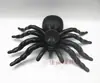 16 Tipos de Aranhas Artificiais 1,5-15cm Halloween Plástico Aranhas Pequenas Pegadinha Aranha Grande Decoração Acessórios Transfronteiriço