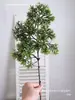 Pino Ciprés Luohan Real Tu Shan Xian Bai Árbol Falso Hojas de Plástico Pino de Bienvenida Materiales Ramas de Ciprés de Acantilado Fábrica de Bonsáis