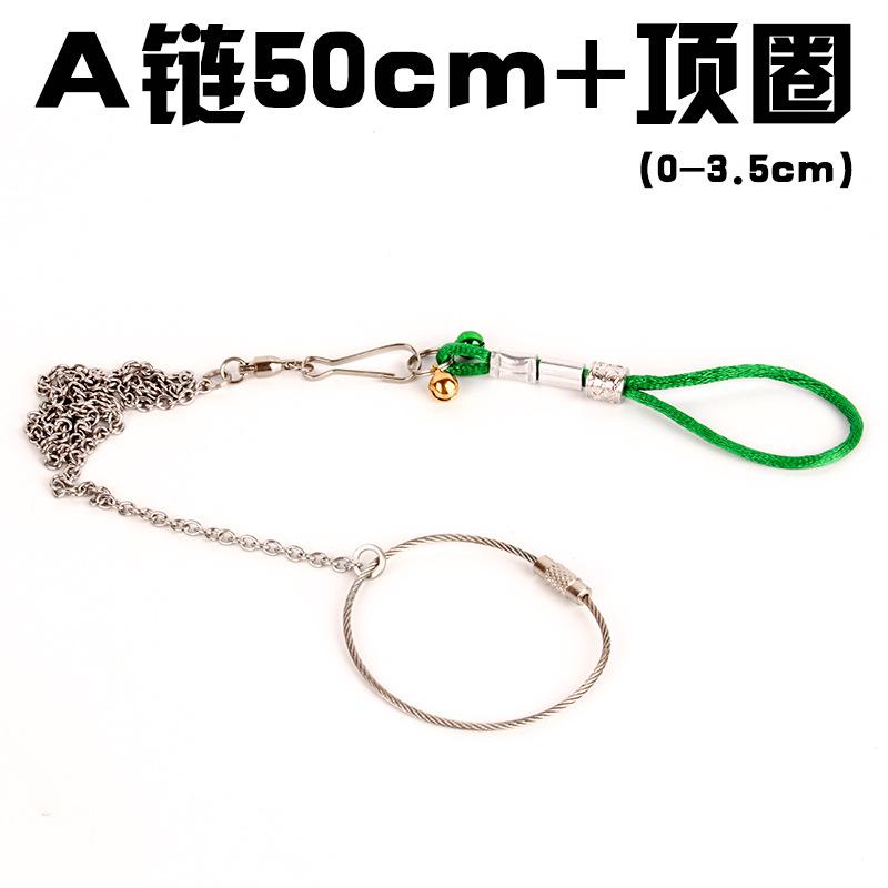 a链项圈