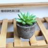 Flores Falsas, Suculenta Pequeno Bonsai, Ornamentos de Mesa Criativos, Fornecimento Direto da Fábrica, Plantas e Flores Verdes Artificiais, Envio Direto