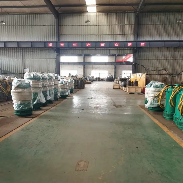 BQS240-100/2-132/N潜水泵 内装式电泵 使用寿命长 BQS排沙排污潜水泵