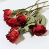 Materiais para Artesanato DIY de Flores Eternas no Atacado, Flores Secas, Frutas Secas, Rodelas de Laranja, Pinhas, Adereços para Fotografia de Flores, Materiais para Artesanato DIY de Jardim de Infância
