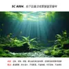 Pegatina de fondo para acuario fondo de lecho marino de acuario tanque de plantas acuáticas paisajismo fondo de acuario 5d tridimensional tridimensional autoadhesivo