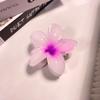 Europa e Estados Unidos cross-border plumeria flor grab clip feriado vento bauhinia hairpin feminino back head plate cabelo tubarão clip cabelo agarrar atacado