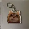 Transfronterizo Nuevo 2D Comida Cabeza de Gato Gato Plátano Expresión de Gato Llavero Acrílico Celebridad de Internet Gato Broma Tonta Llave