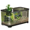 Aquário ecológico de plástico para peixes dourados com tampa transparente para sala de estar, pequeno tanque de mesa para paisagens de luxo, tanque para tartarugas