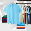 Camisas Polo Personalizadas no Atacado em Estoque, Camisetas de Verão Antibacterianas Sem Ferro, Camisas Polo Personalizadas Versáteis e da Moda