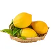 Sichuan Anyue Limón Amarillo Dropshipping 1/2/3/5 Jin Pulpa Amarilla Fruta Grande Tienda de Té con Leche Caja de Regalo Comercial Fruta Fresca