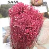 Pacote de Material DIY Flor Eterna 1g Gradiente Cabeça Grande Mosquitinho Estrela Milionária Buquê de Flores Secas Flor Eterna Flor Real