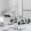 Jarrón pequeño de estilo nórdico Ins, adorno floral para sala de estar, vidrio transparente, flores que levantan el agua, mini juego de flores simple.