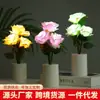 Decoração de luz para buquê de flor lua simulada LED transfronteiriça, luz noturna, luz de atmosfera para quarto e cabeceira, enfeites de decoração para casa