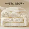 Colcha de algodón acolchado clase A colcha de invierno engrosada cálida funda de colcha de primavera y otoño universal para cuatro estaciones doble núcleo de colcha para dormitorio en casa