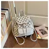 Mochila Vintage de Nicho de Gran Capacidad 2026 Primavera Nueva Bolsa de Moda Mate Ligera Mochila para Viajar