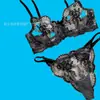 2024 Más Vendido Comercio Exterior Bordado de Flores Malla Transparente Sexy, Cómodo, Sencillo y Elegante Conjunto de Lencería