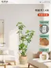 Plantas Verdes Artificiais de Alta Qualidade para Decoração de Sala de Estar, Planta Realista Falsa de Figueira-da-Índia Preta para Decoração de Sala de Transmissão ao Vivo