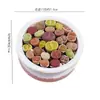 Base de planta suculenta autoproducida y autovendida al por mayor suculentas pequeñas combinación de flores plantas en maceta plantas carnosas Lithops Haworthia