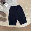 Calça Bebê Outono Nova Estilo Coreano Unissex Algodão Puro Casual Calça Cenoura Roupa Primavera Criança Pequena Versátil Calça Lanterna