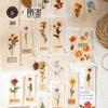 Paquete de Stickers Transferibles Serie Momo Flower Forest Estilo Literario Etiqueta de Bosque Impermeable Material para Decoración de Agenda