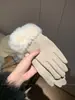Luvas de Pelúcia Derong para Mulheres no Outono e Inverno, Forradas com Fleece para Ciclismo, Proteção contra Frio e Calor, Luvas com Tela Sensível ao Toque, Luxo Acessível, Estilo Filha de Chaebol