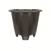Maceta Flor de Rosa Negra Arándano Maceta Cuadrada Gruesa Qingshan Gallen Maceta Cuadrada de Plástico para Control de Raíces Maceta Cuadrada Blanca