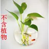 Vaso, Floreira, Aquário, Decoração de Casa, Utensílios Criativos para Flores, Decorações de Parede para Restaurante, Adesivos de Parede de Acrílico, Sala de Estar