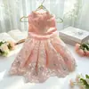 Roupas de Primavera e Verão para Pets, Vestidos, Saias, Roupas Fofas para Gatos e Cachorros, Vestuário para Pets, Laços, Renda Transfronteiriça