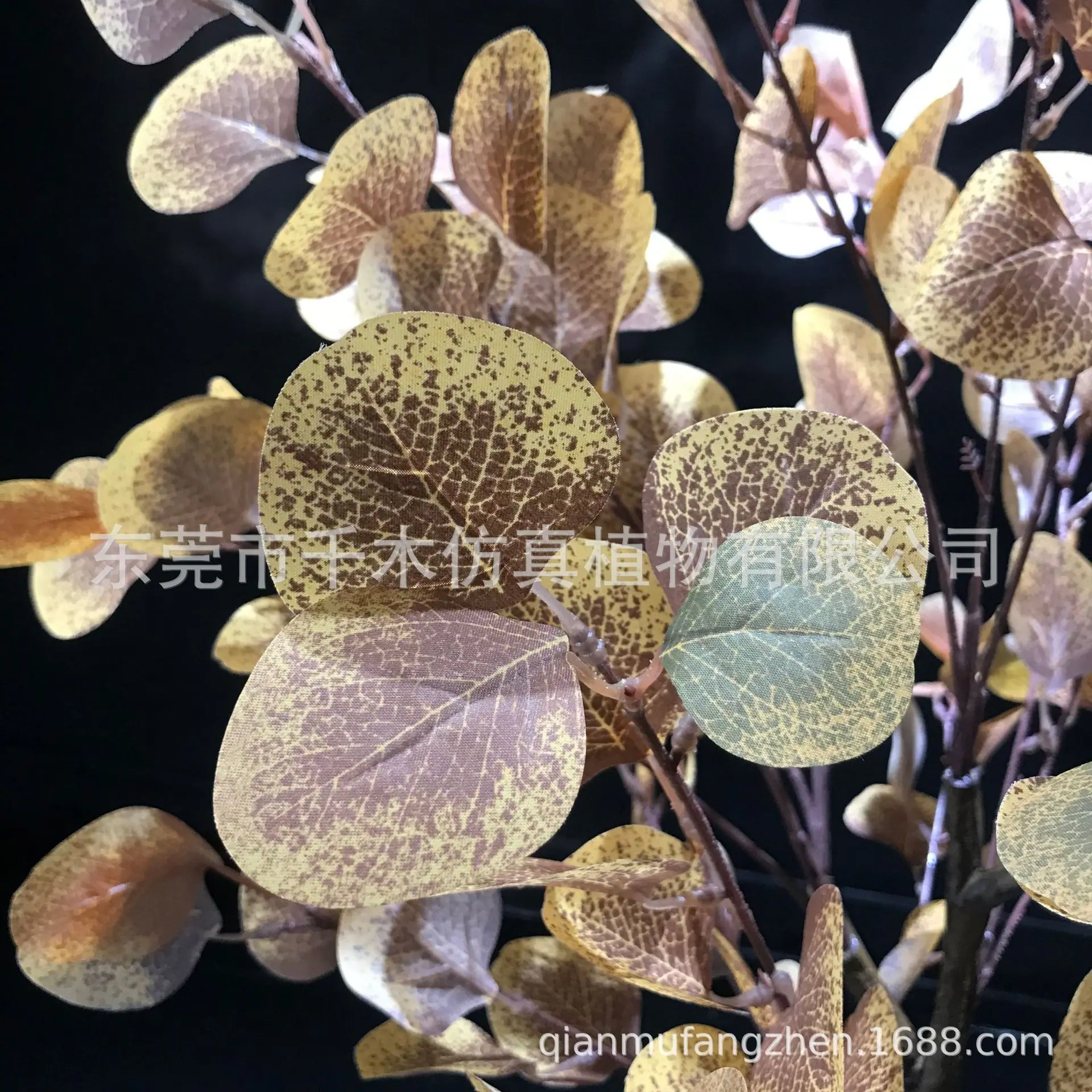 微信图片_2021121114342312