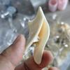 Em estoque Pinça para cílios postiços sem olhos Auxílio para maquiagem dos olhos Adesivo de artefato Clipe para cílios postiços Auxílio para cílios postiços