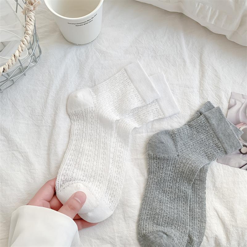 2024-05-18 173544.jpg