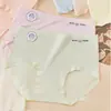 Fabricante de Ropa Interior de Alta Calidad al por Mayor Calzones de Algodón para Mujer, Calzones de Algodón Triángulo Talla de Mujer, Cómodos para Mujeres Mayores, Fibra Suave, Adecuados para Transmisiones en Vivo