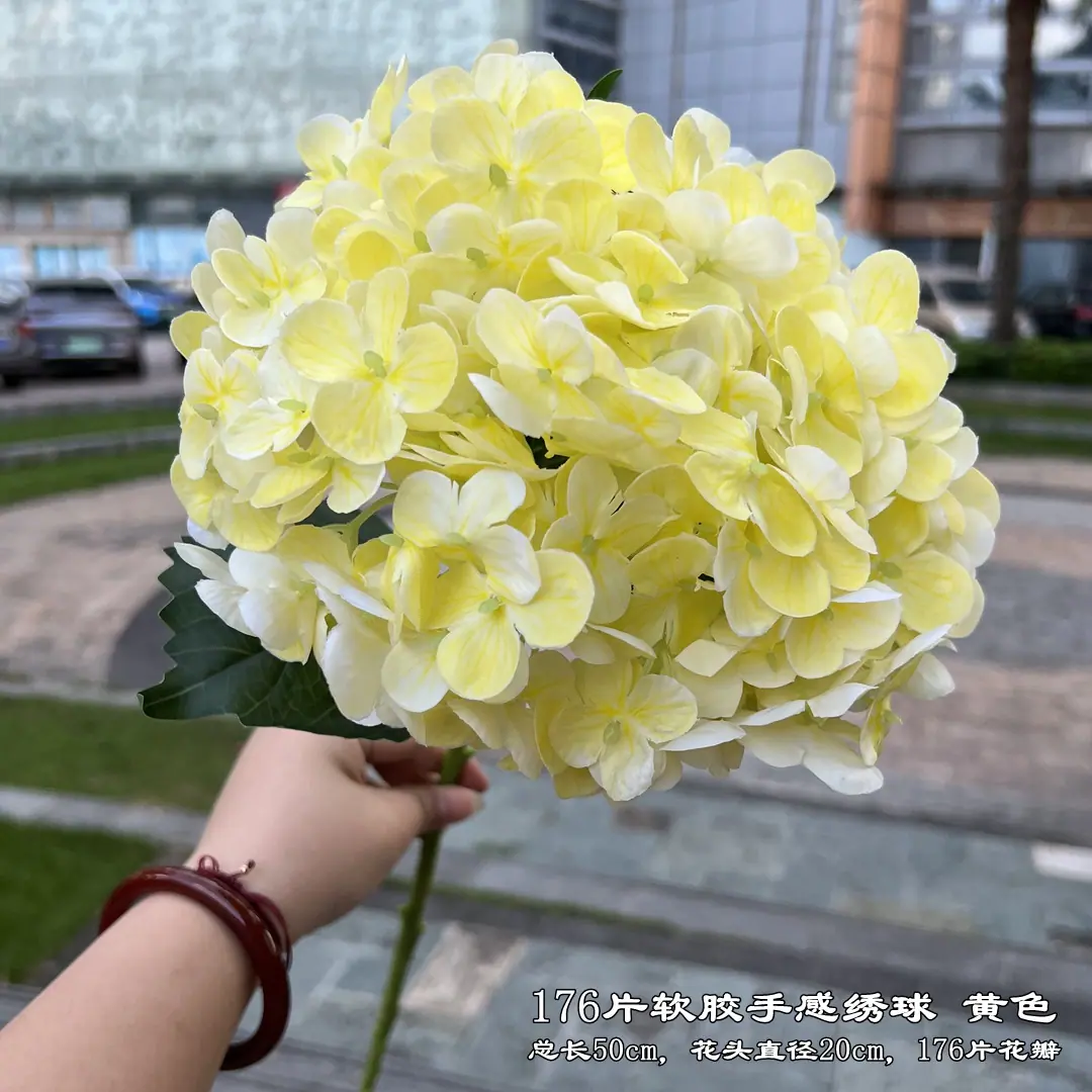 微信图片_20220727125801_副本.jpg