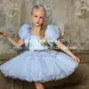 Vestido para Niña, Vestido de Princesa Infantil, Nuevo Estilo 2026, Falda Abullonada, Para Actuación, Fiesta de Cumpleaños, Dama de Honor, Transfronterizo