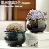 Vaso de Flor Suculenta Cerâmica Preço Especial Liquidação Esmaltado Tamanhos Grande e Pequeno Simples Pastoral Mesa Vasos de Barro Respirável Plantas Leede Estoque