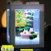Botella de Ecosistema de Paisaje Micro Marimo Bola de Musgo, Divertida en Interiores