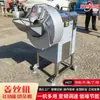 Máquina Ralladora de Jengibre de Acero Inoxidable, Máquina Cortadora de Papa Totalmente Automática, Máquina Eléctrica Comercial Grande con Ajuste de Velocidad de Frecuencia Variable, Máquina Ralladora de Jengibre